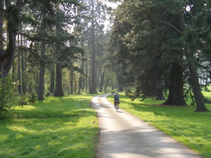 Riding in Erddig. Photo by Dave Hill.